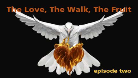 The Love The Walk The Fruit – episode two The Love The Walk The Fruit – episode two