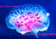 What’s In Your Brain What’s In Your Brain